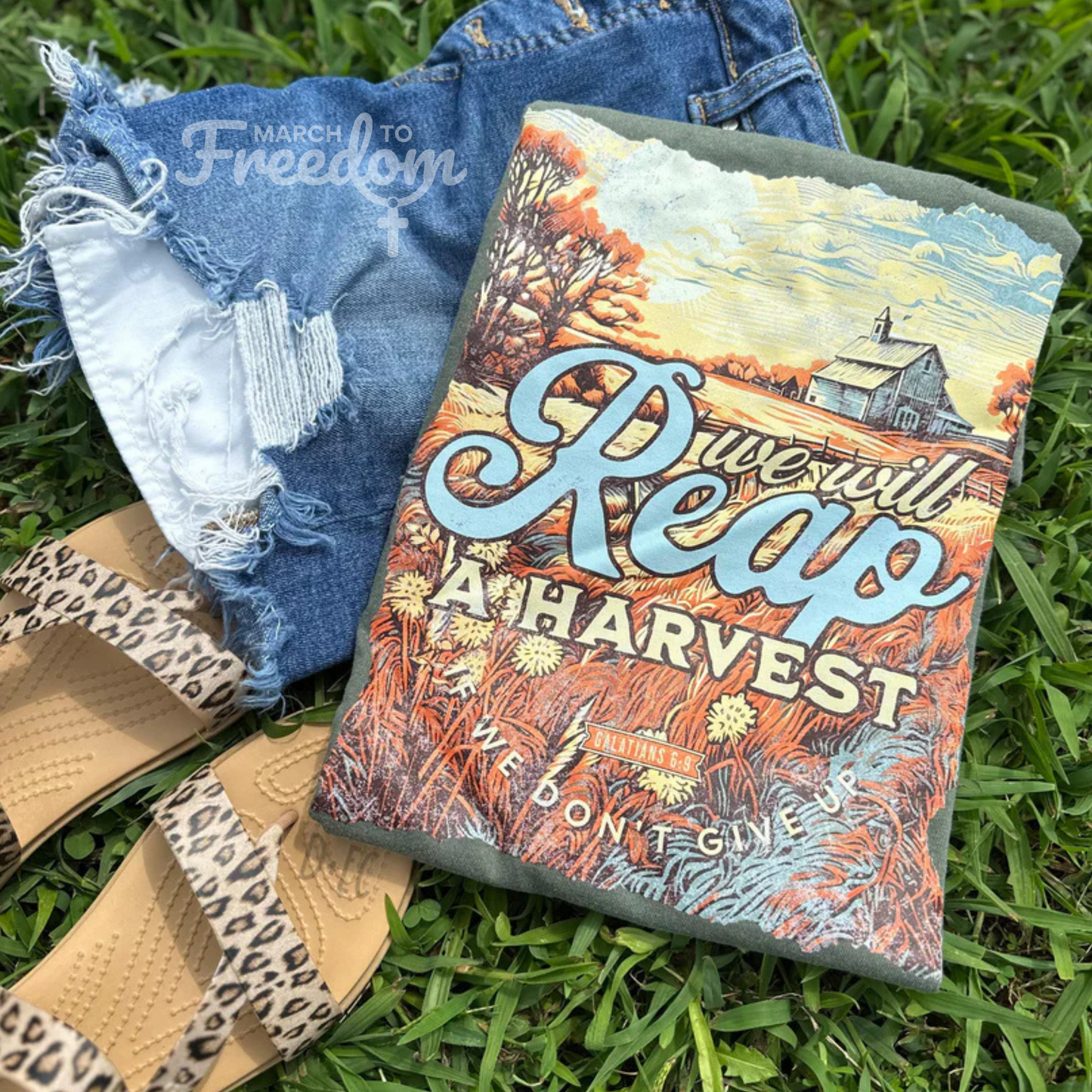 MTF221 - We Will Reap A Harvest