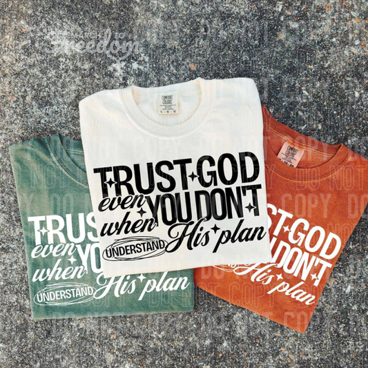MTF230 - Trust God Even When You Don't Understand His Plan